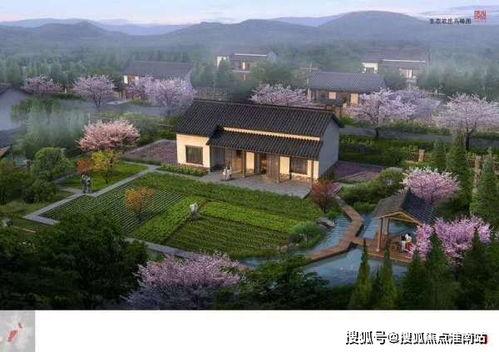 原乡在线观看,探寻乡土情怀的数字足迹  第3张