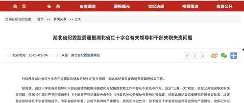 新闻网红爆料,最新热点事件幕后真相揭秘  第3张